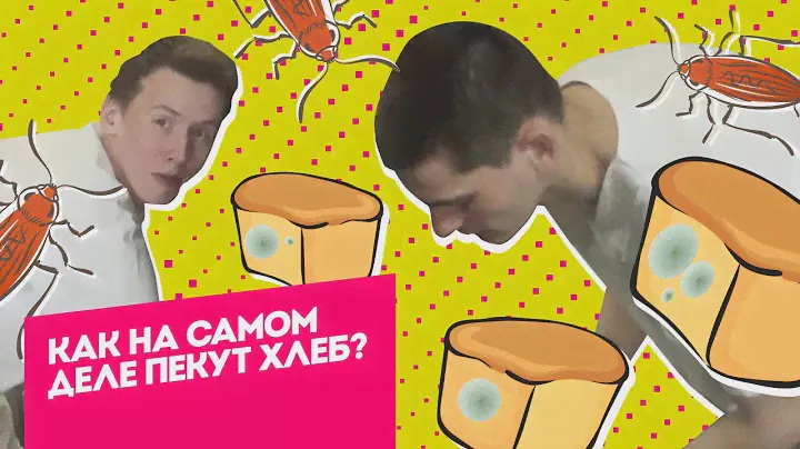 Как на самом деле пекут хлеб? Ужасы производства в программе Инсайдеры