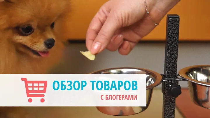 Обзор мисок Usond для собак с Пуфиком