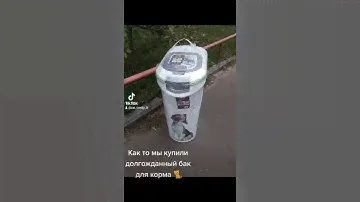 Как то год назад , наконец-то!  Бак для хранения корма 🐈