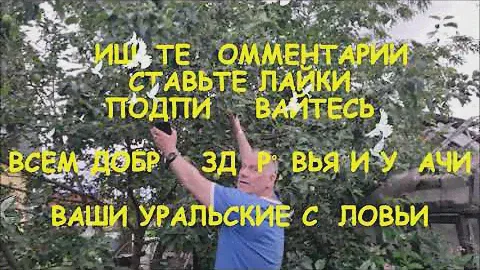 Притча о ведре яблок//Всем в подарок ведро яблок