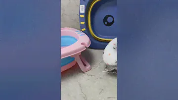Складные ванночки Кошечка с гамаком