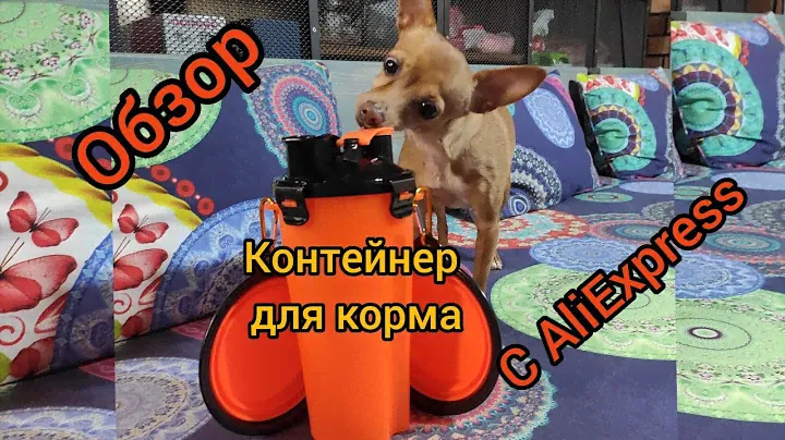 контейнер для корма с 2 мисками для собак котов, дорожный набор для собак, распаковка, обзор