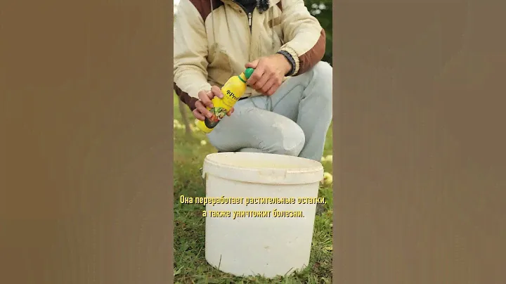 Куда девать опавшие яблоки? Не вздумайте выбросить! Это отличное удобрение для сада и огорода